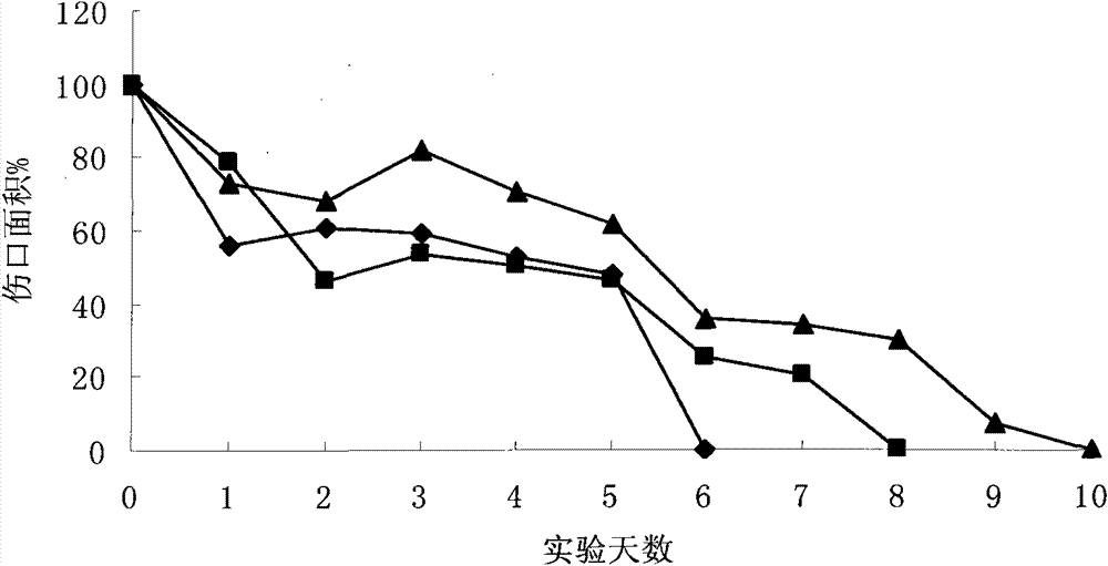 Dressing composition used for inhibiting scars and accelerating wound healing and application thereof