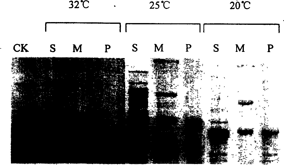 Artificial synthetic Bt antiinsect gene used for transgene antiinsect plant and its development method