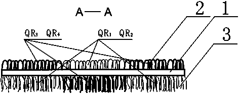 Two-color jacquard fabric with looped piles on one side and velvet on other side and weaving method of two-color jacquard fabric