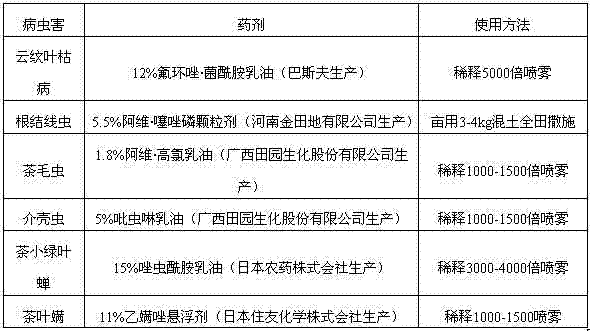 Powdery ridge cultivation method for economic forests on hilly lands