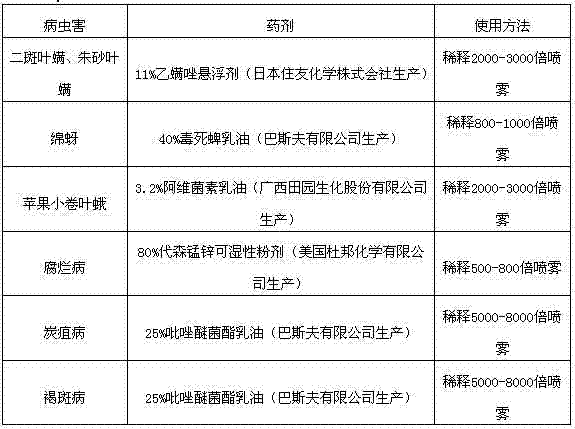 Powdery ridge cultivation method for economic forests on hilly lands