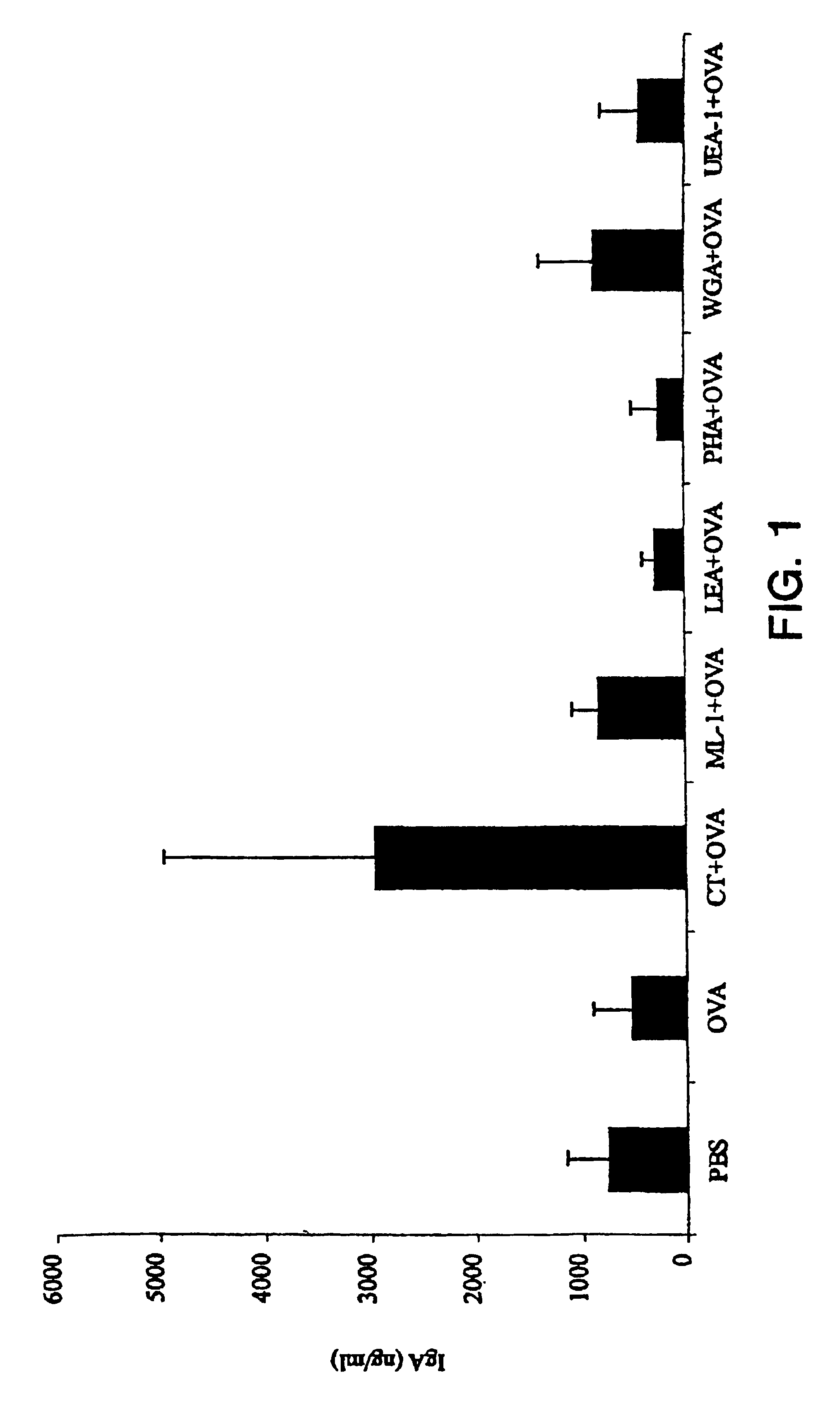 Plant lectins as mucosal adjuvants