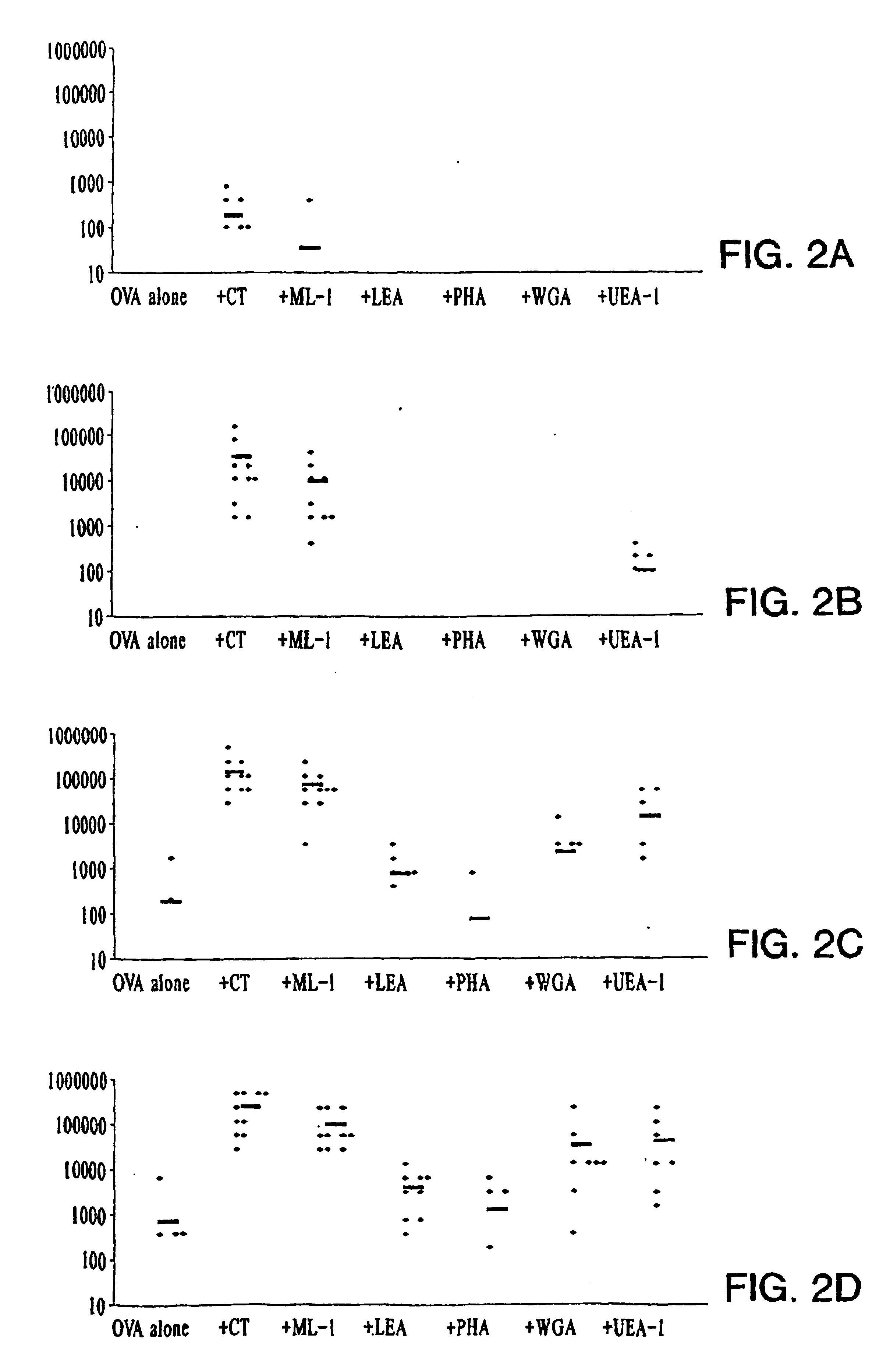 Plant lectins as mucosal adjuvants