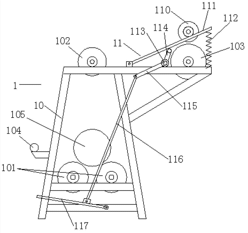 Schoenoplectus trigueter (L.) Palla mat dyeing and drying technology