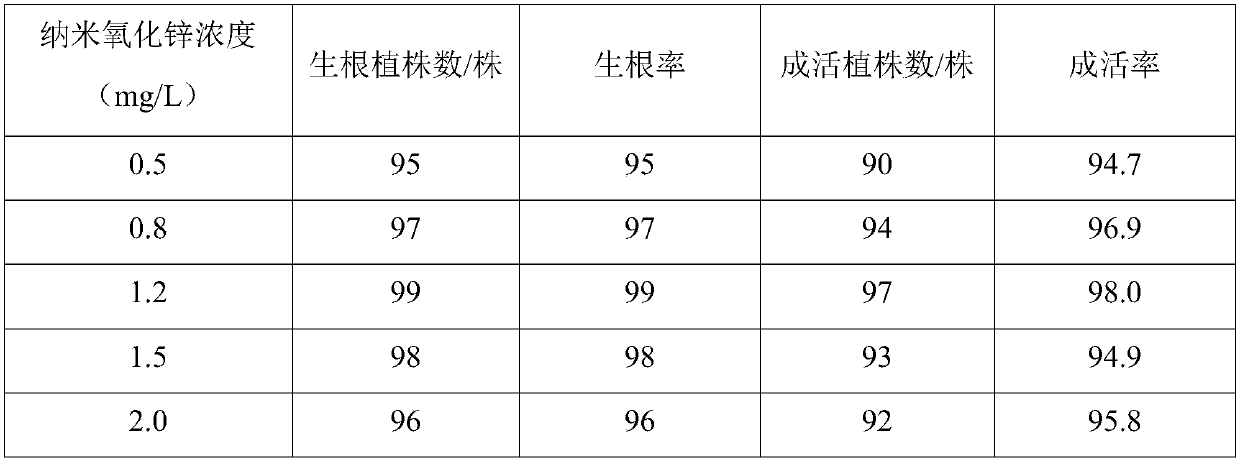 Tissue Culture Rapid Propagation Method of Ivy Clover