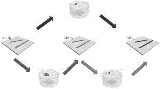 Preparation method and application of multicolor halogen perovskite fluorescent material