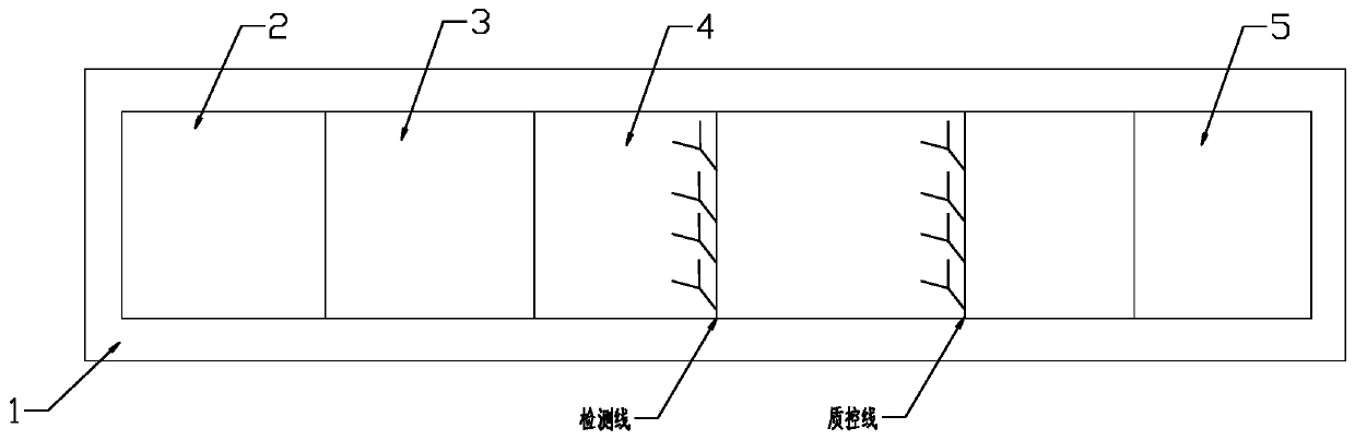 Method for detecting norovirus by using nano-enzyme test strip