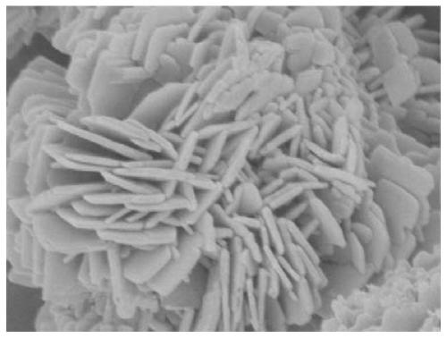 Nano flower-shaped ZnO photocatalyst, preparation method and application thereof