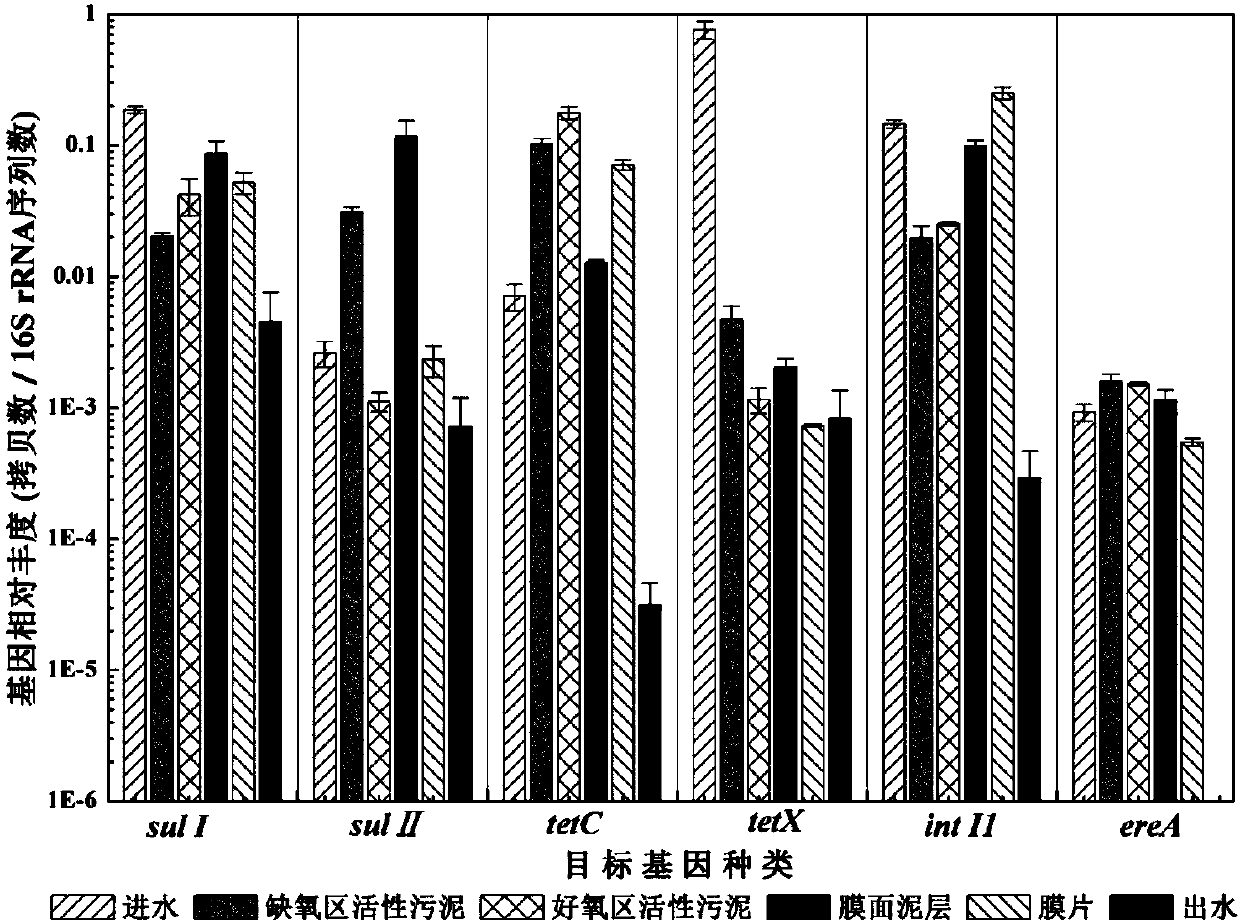 Method for removing antibiotics resistance gene in sewage