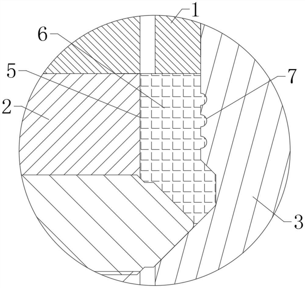 Hanger with multiple sealing sections and manufacturing equipment thereof