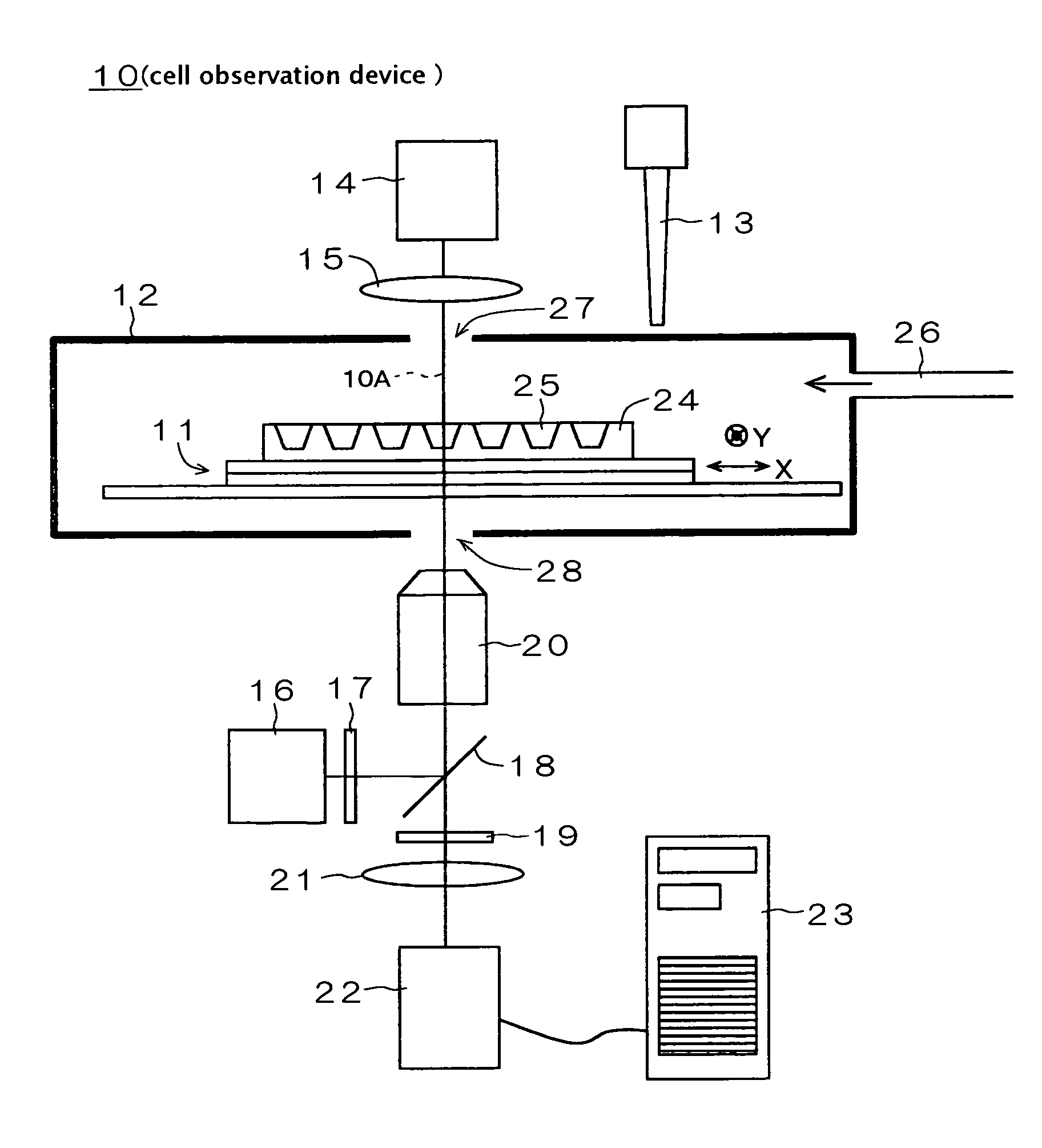 Cell observation device and cell observation method