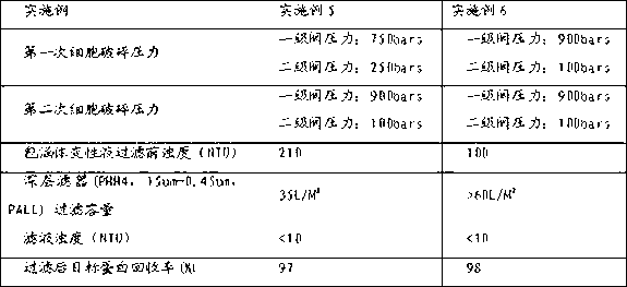 Preparation method of fusion protein inclusion body