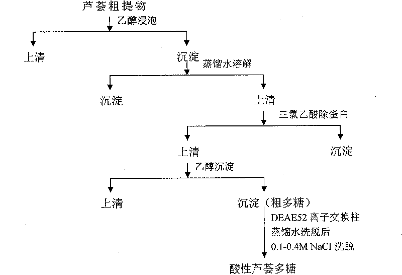 Acidic aloe polysaccharide as well as preparation and purification method and application thereof