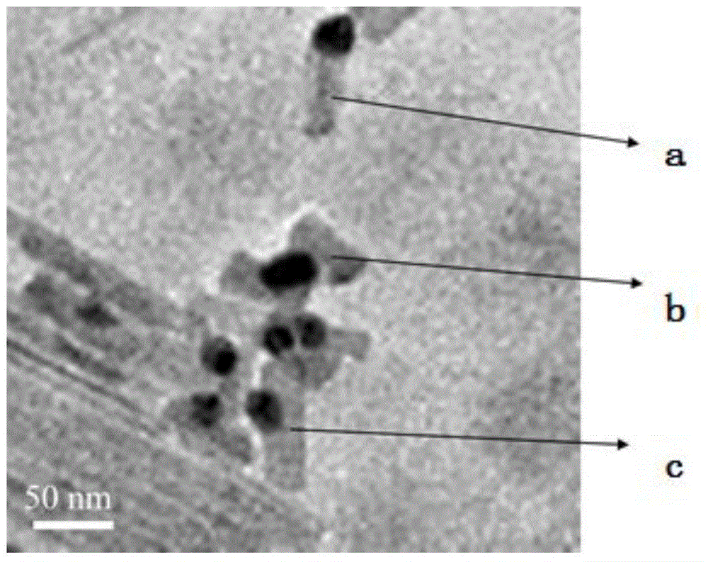 Gold nano-particle-bismuthous sulfide heterojunction nanometer photocatalysis material, preparation method thereof and application of gold nano-particle-bismuthous sulfide heterojunction nanometer photocatalysis material in degrading of pollutants