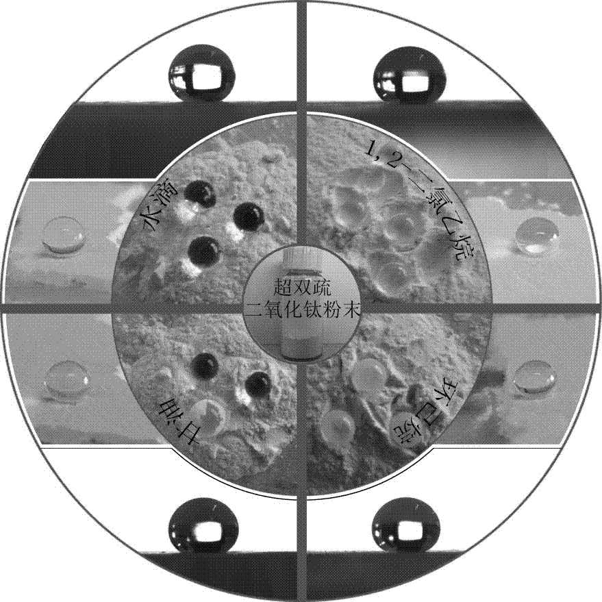 Preparation method of a universal superamphiphobic nanocoating based on flower-like titanium dioxide nanoparticles