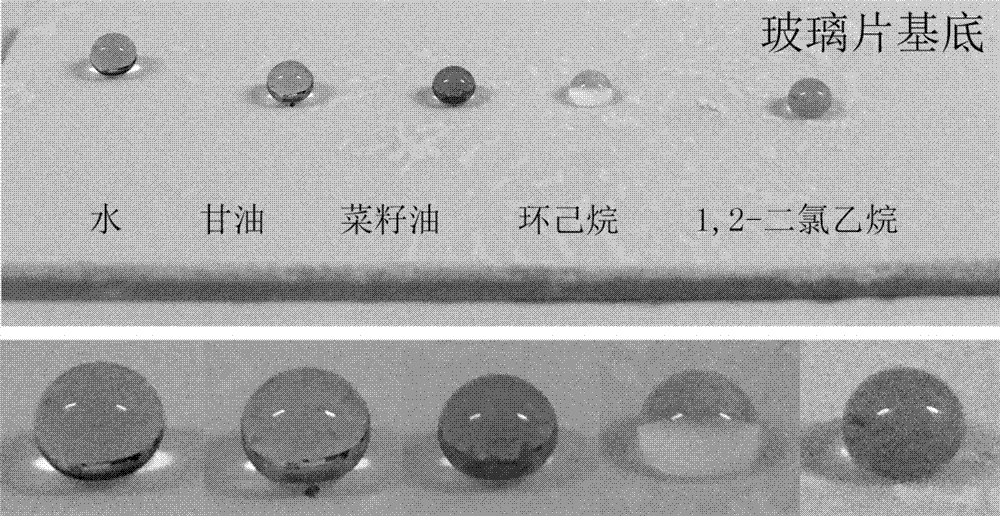 Preparation method of a universal superamphiphobic nanocoating based on flower-like titanium dioxide nanoparticles