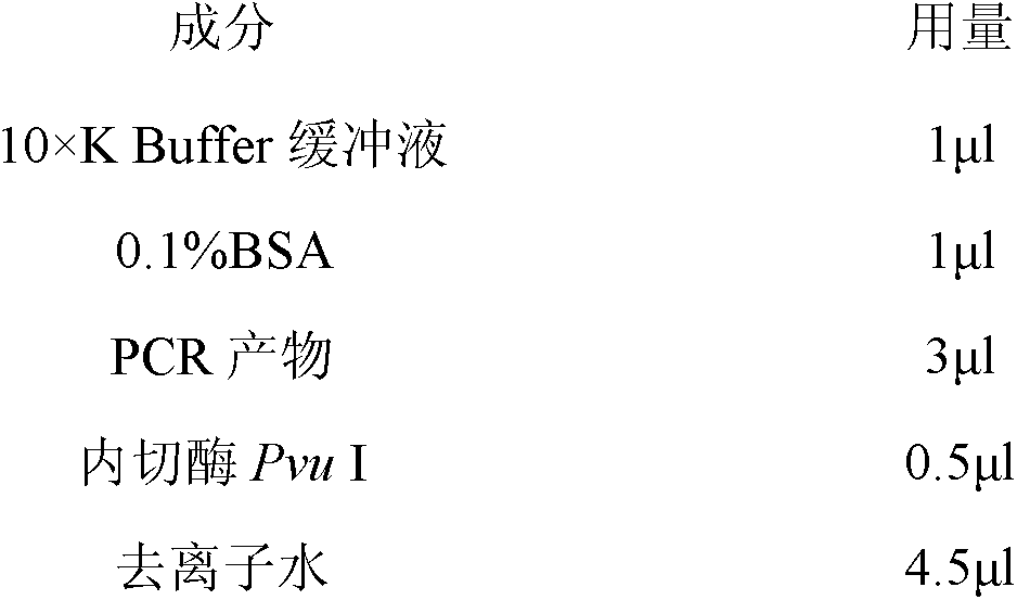 Molecular marking method for predicting and identifying length of sheep wool