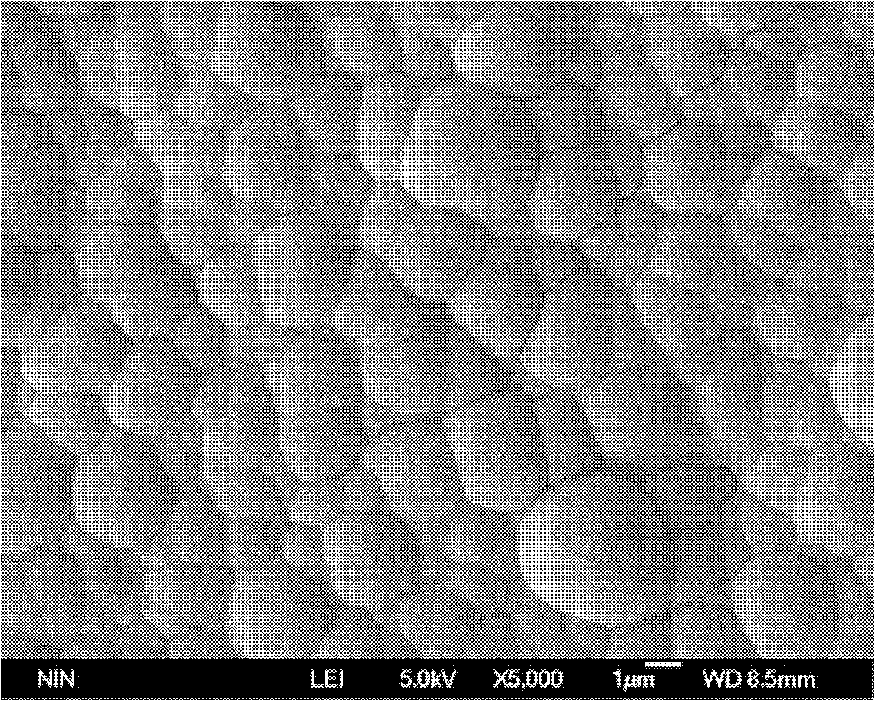 Method for preparing cadmium sulfide nanometer membrane by self assembly