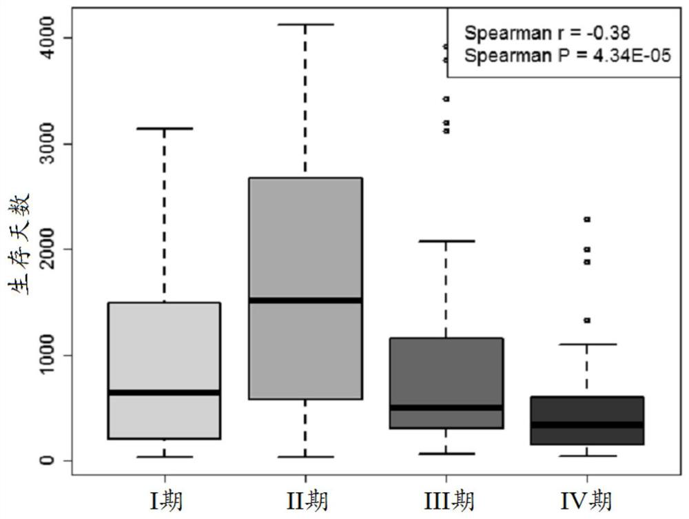 A personalized prognostic assessment method for colon cancer based on multi-gene expression profiles