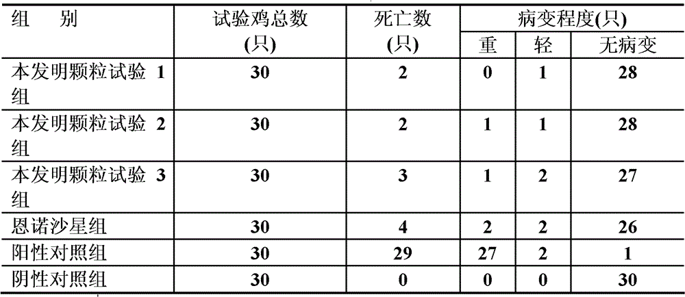 Chinese pulsatilla root granules for preventing and treating livestock and poultry bacterial diseases and preparation method and premix thereof