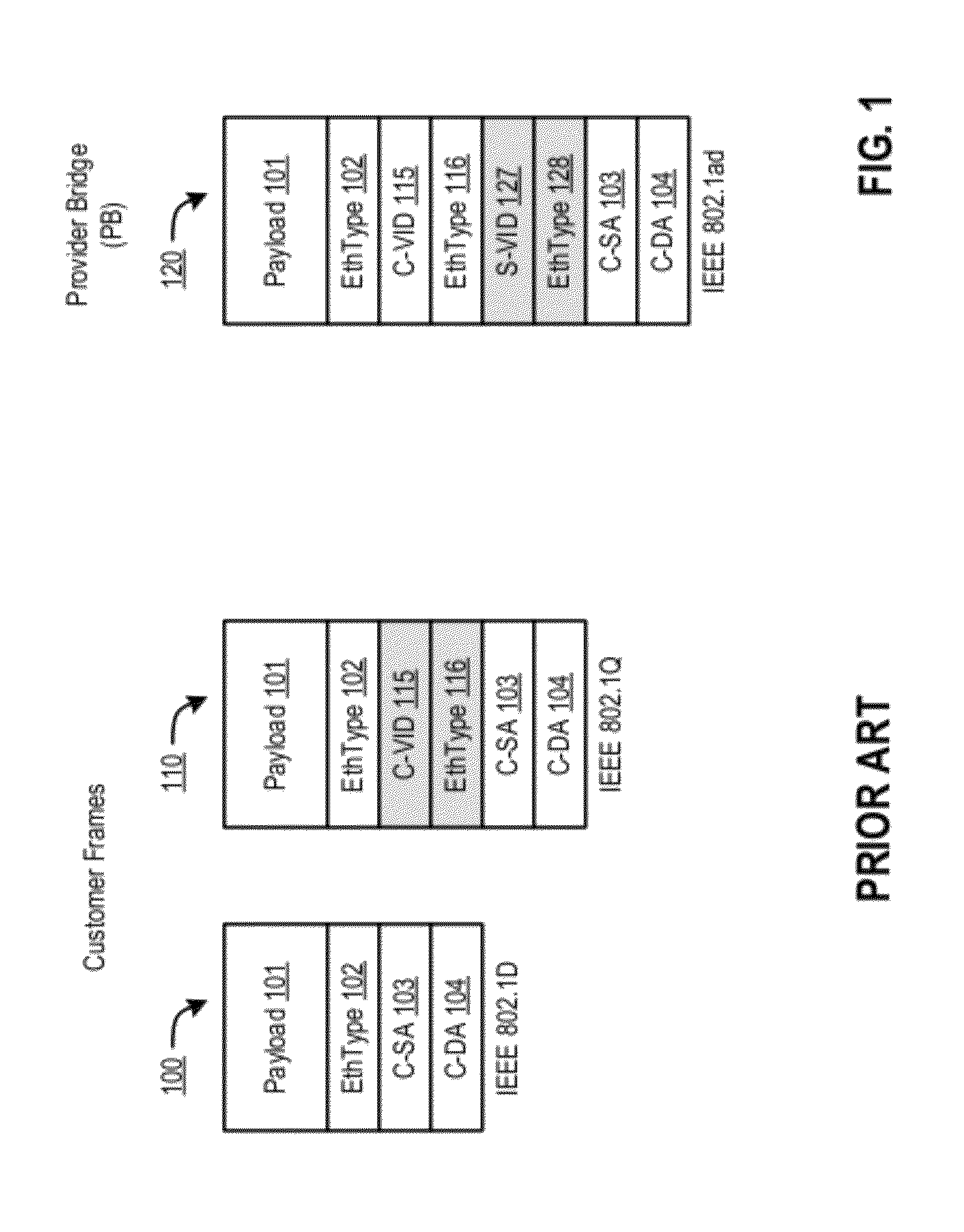 Forwarding frames in a computer network using shortest path bridging