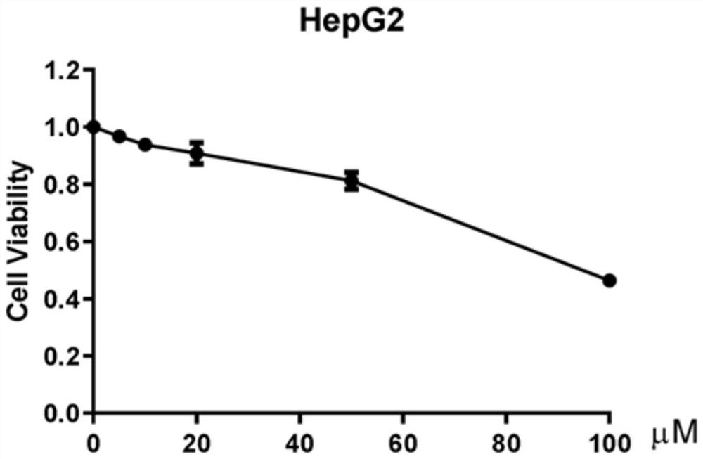 FOXM1 antagonistic polypeptide as well as derivative and application thereof