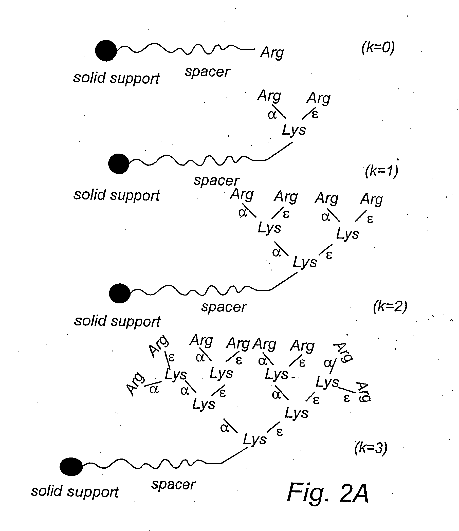 Polymer affinity matrix, a method for the production and use thereof