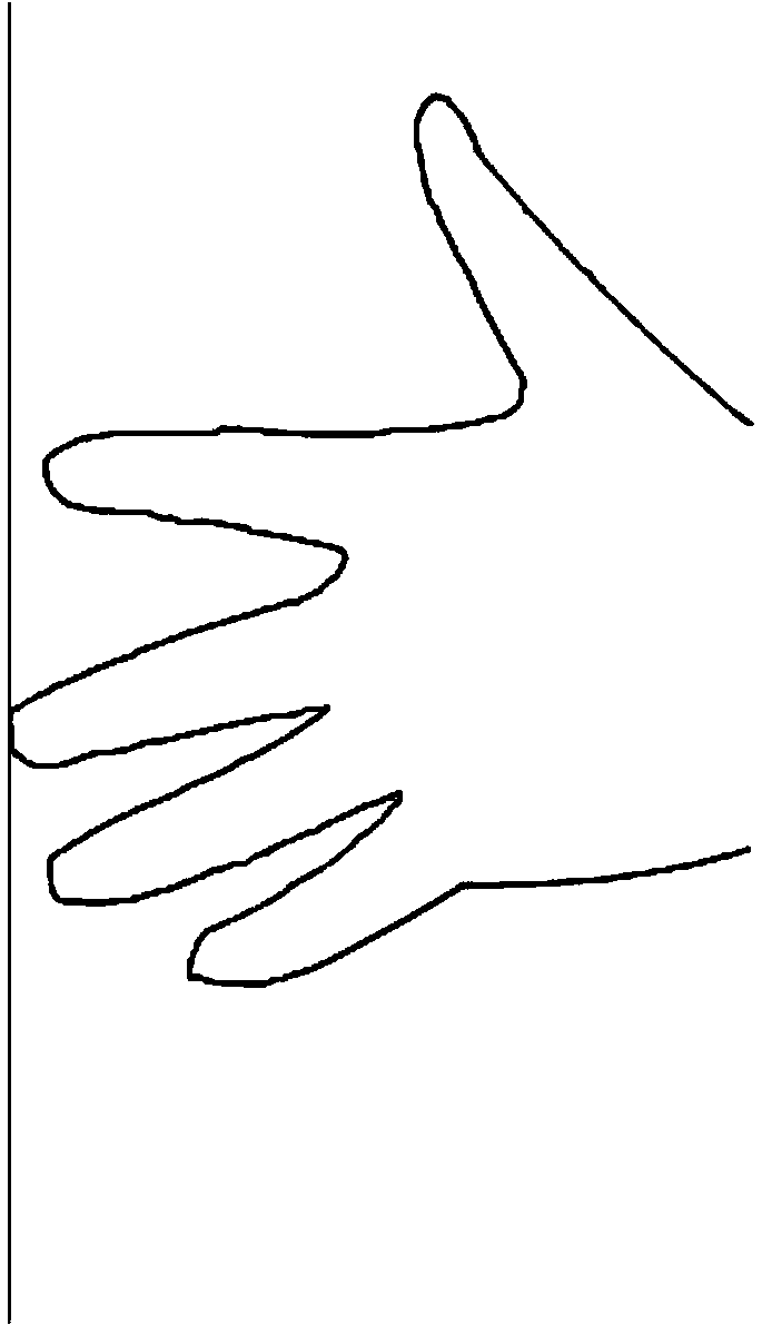 Rapid authentication method based on handshape and palmprint recognition