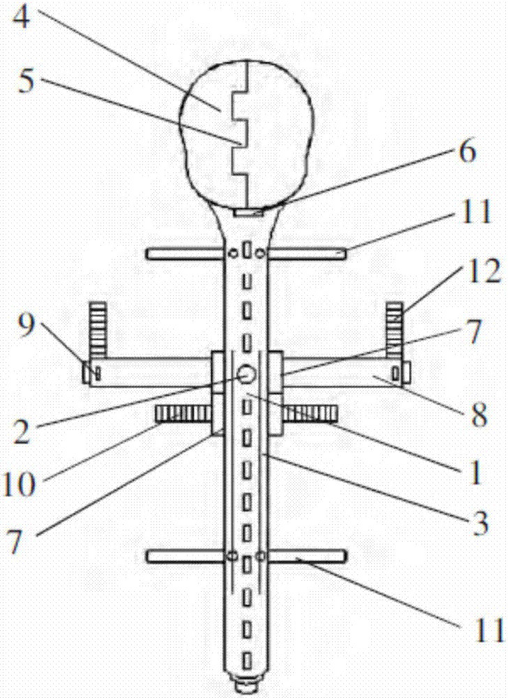 Crossed in-situ head and neck fixator