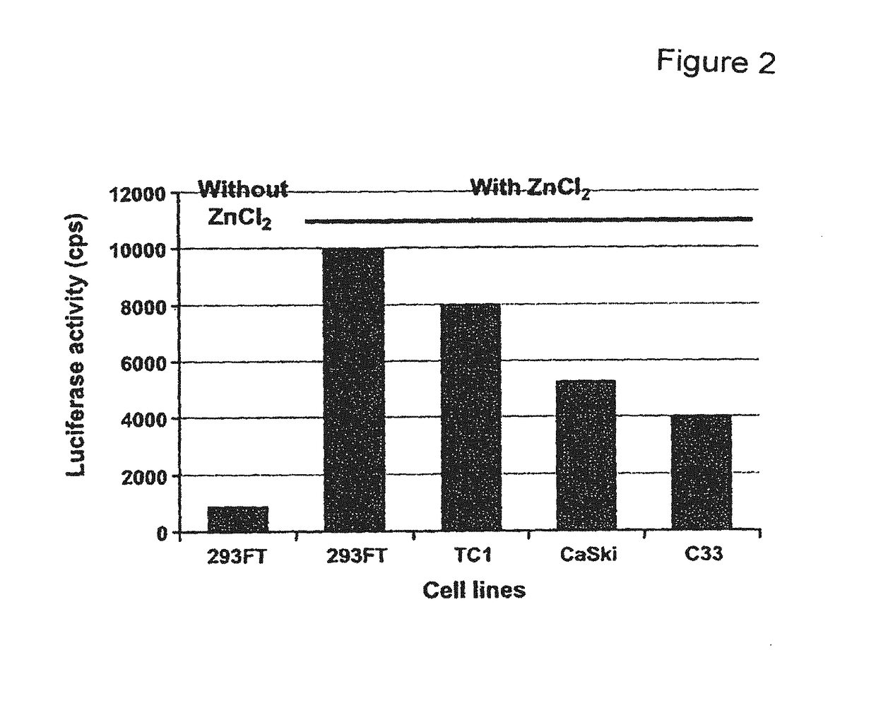 HPV particles and uses thereof