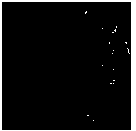 3D Digital Core Modeling Method for Fracture Network