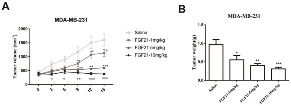 Novel FGF analogue for treating breast cancer and application thereof