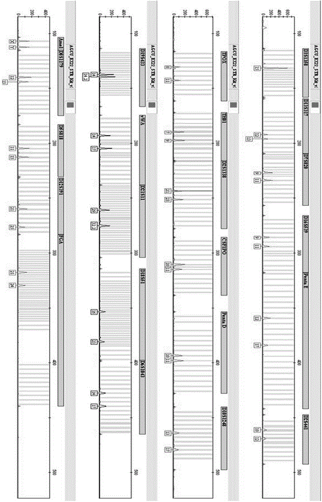 Use of agarose in DNA extraction, DNA extraction kit and DNA extraction method