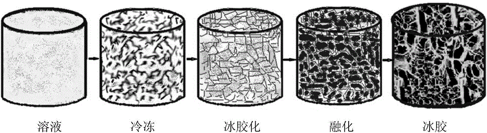 Frozen gel three-dimensional structural body, preparation method and application thereof