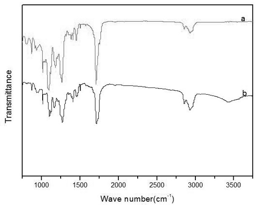 Preparation method of degradable heat-resistant copolyester