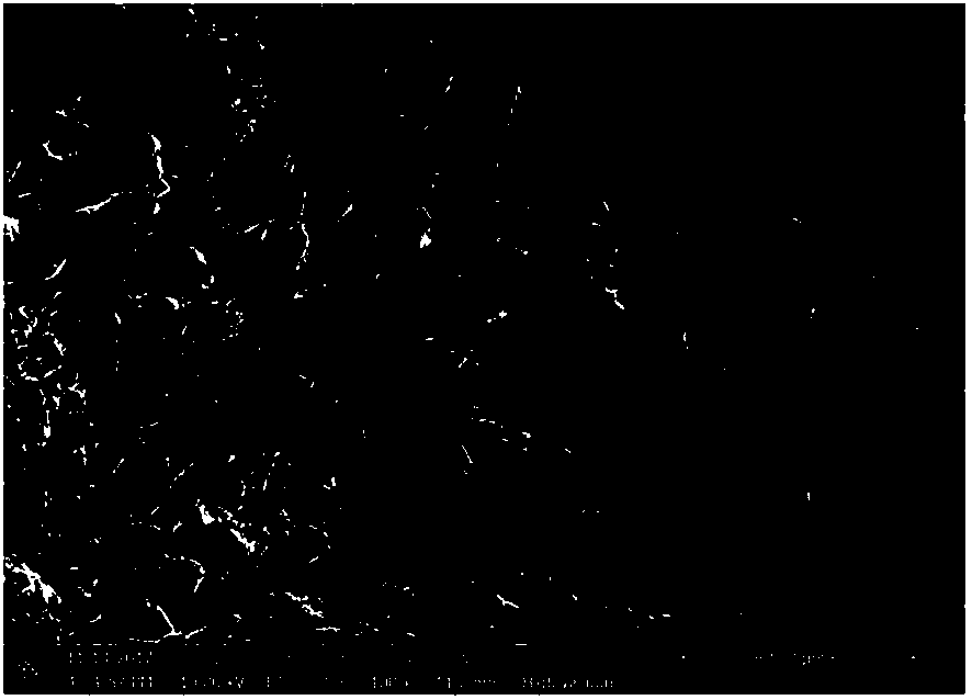 Preparation method of antibacterial dressing with slow release effect and product thereof