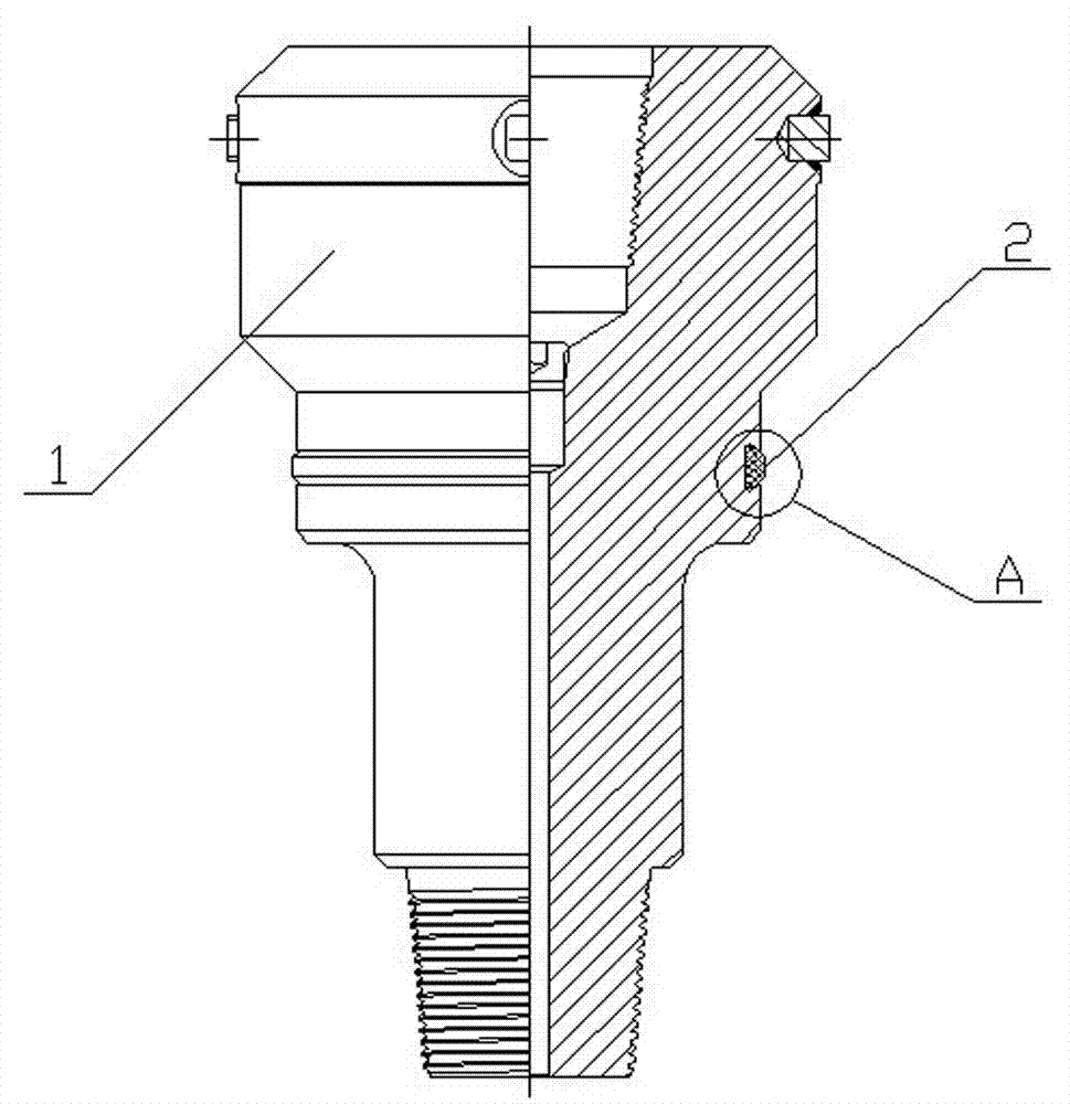 Oilwell sleeve pressure test plug sealing structure