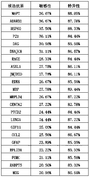 Protein antigen composition for detecting Alzheimer's disease autoantibody and application of composition