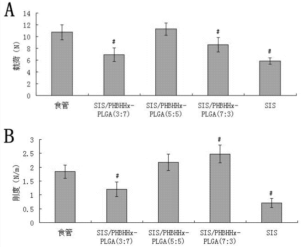 Esophagus repairing material