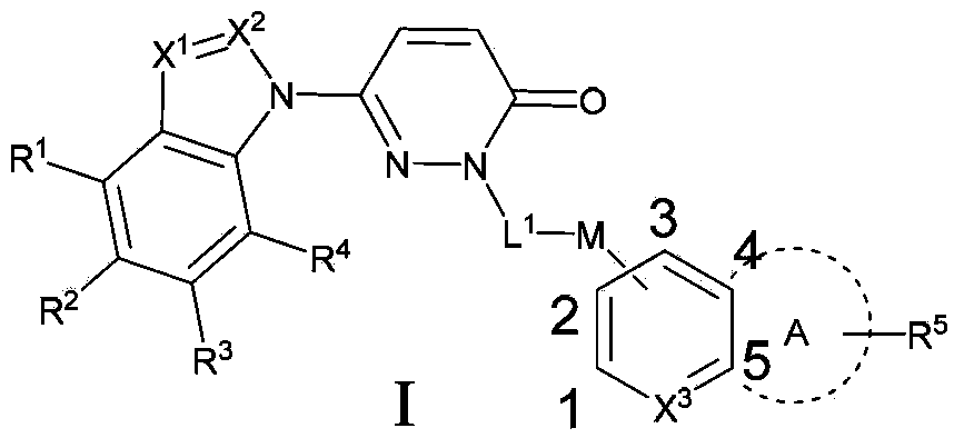 Pyridazinone compounds, preparation method thereof, medicinal composition and application thereof