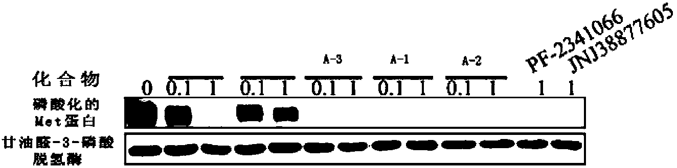 Pyridazinone compounds, preparation method thereof, medicinal composition and application thereof