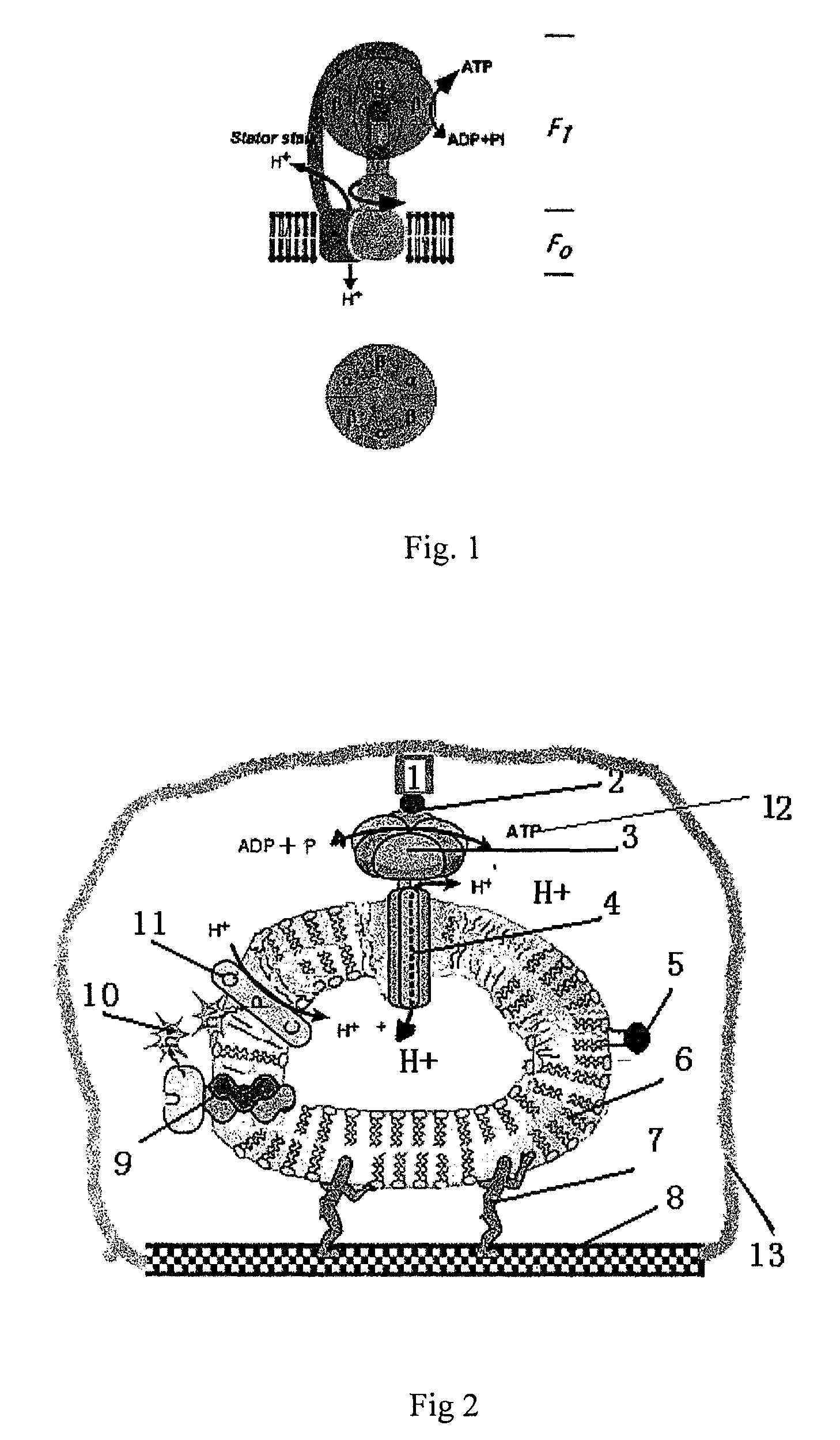 Adjustable molecular motor micropower biosensor and its application