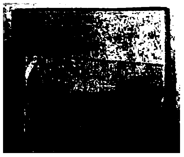 Method for manufacturing fiber cross section slices