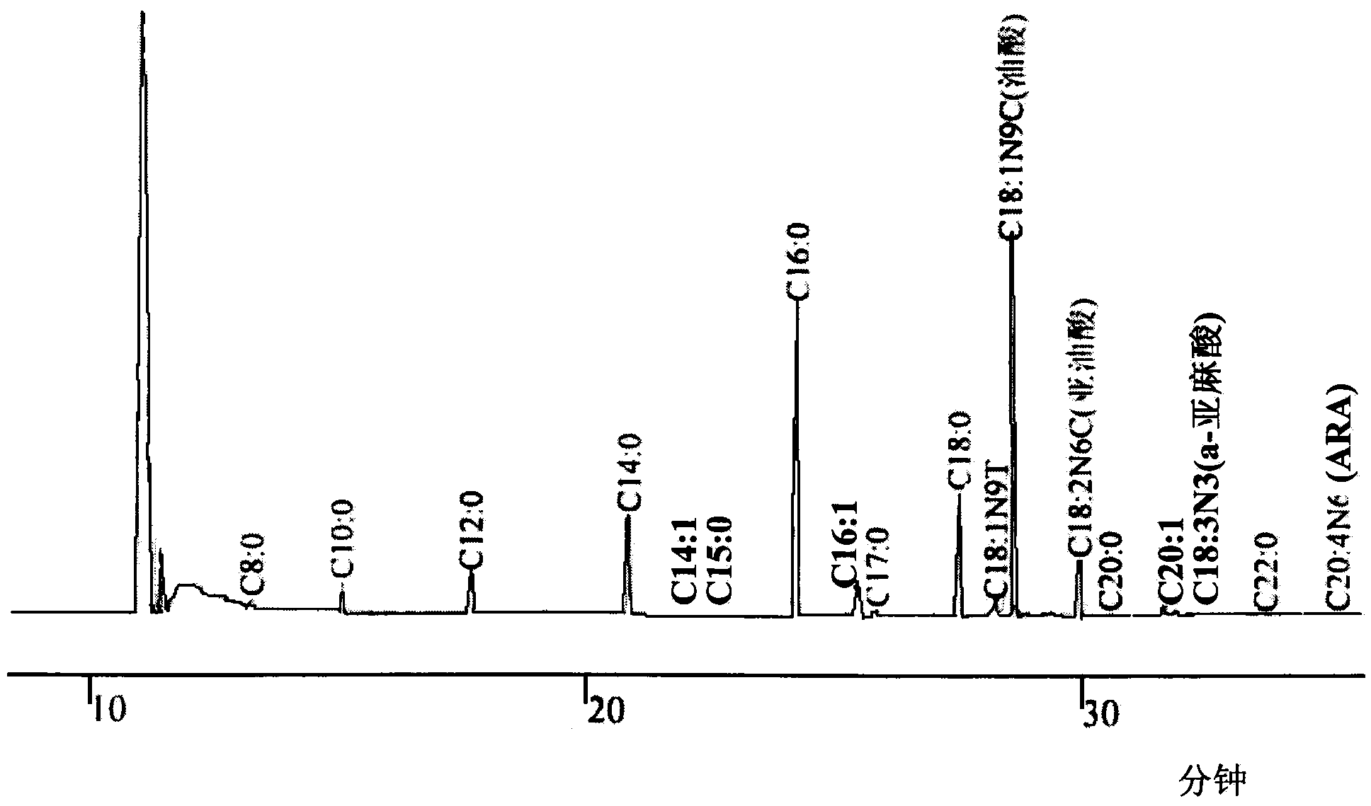 Butter fat enzymolysis product and preparation method and application thereof