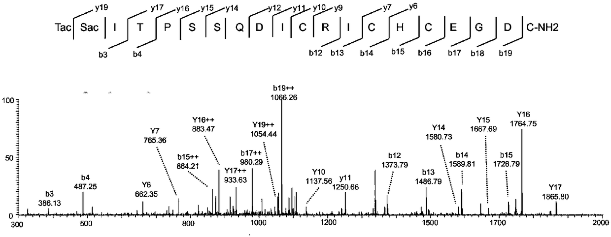 M8Sac71 antibody as well as preparation method and application thereof