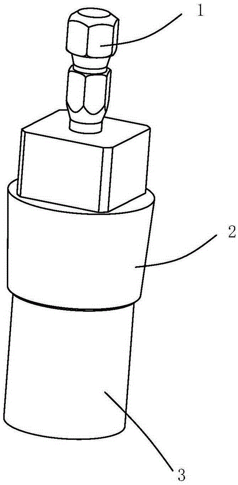 Sacrificial anode structure and method for checking corrosion state of sacrificial anode structure