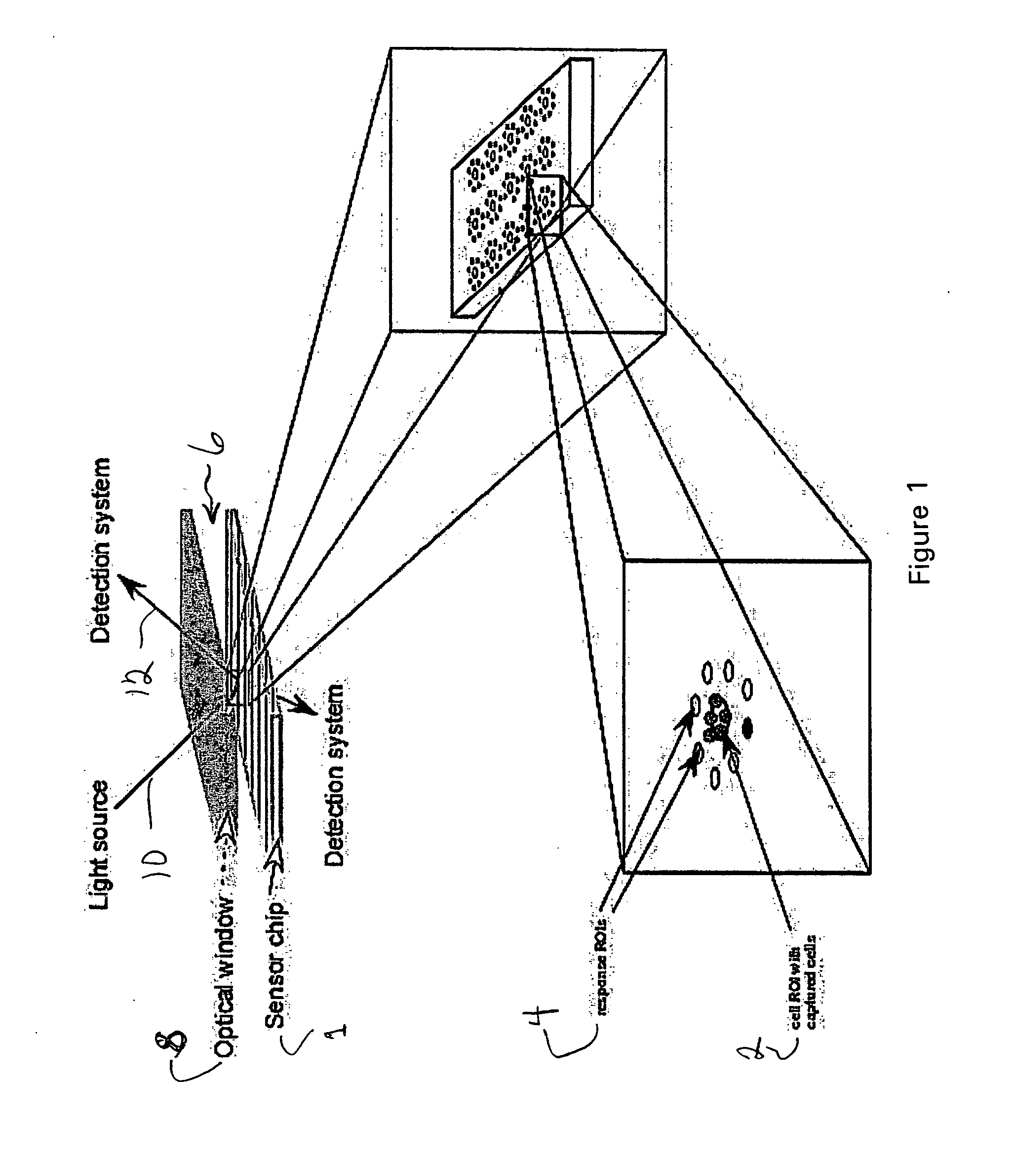 Cytometer on a chip