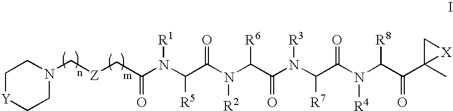 Compounds for enzyme inhibition