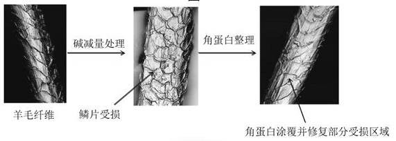 A kind of finishing method of machine-washable wool fabric