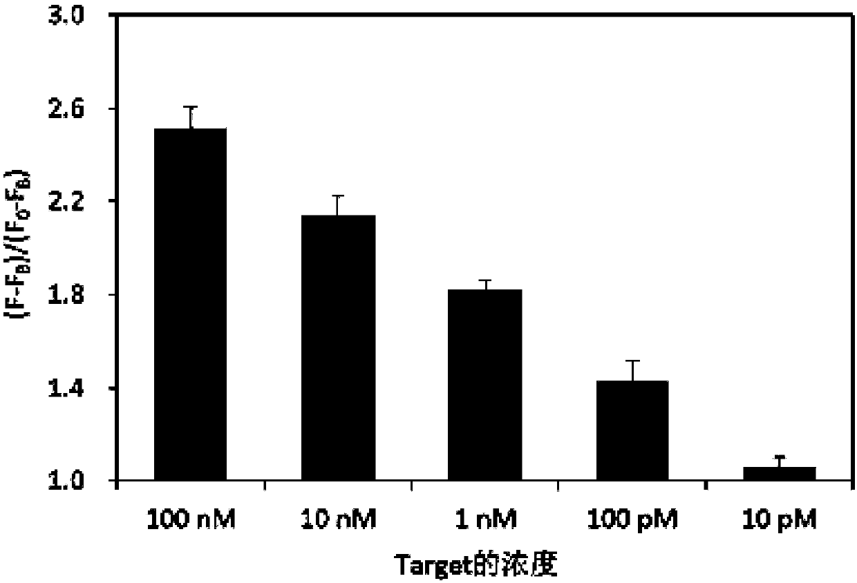 Single strand nucleic acid detection kit and method as well as application of single strand nucleic acid detection kit and method